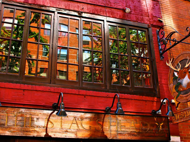 The Stag's Head by The Stag's Head