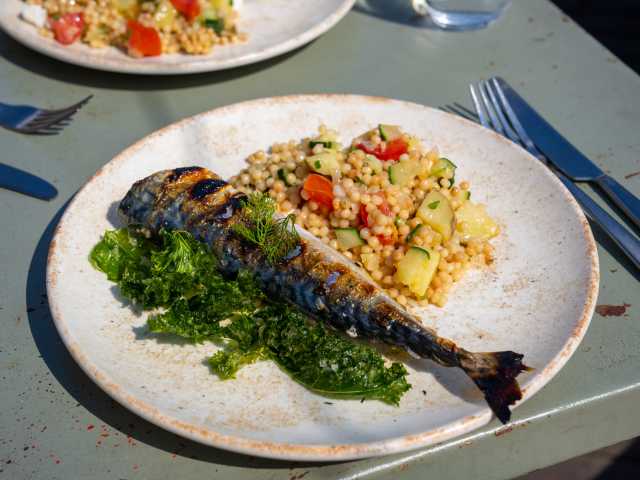 The Culpeper by Koray Firat