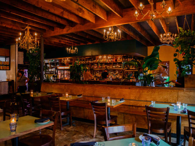 Tiny Champions by Liz Silva