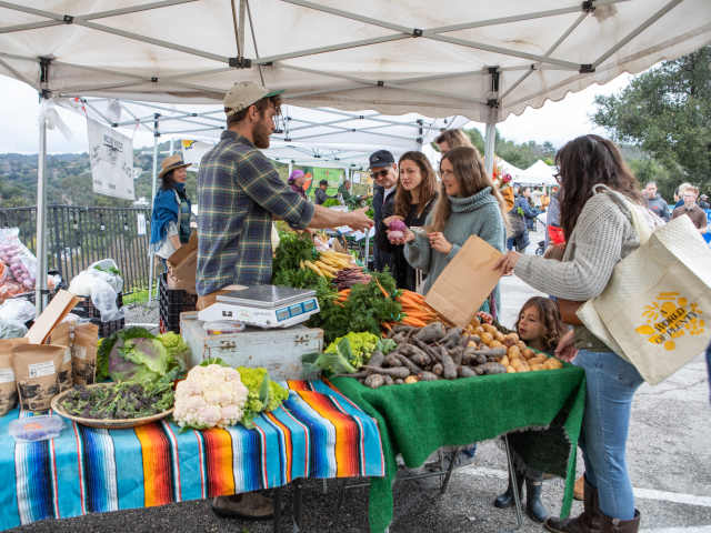 Topanga Farmers Market by Nicola Buck