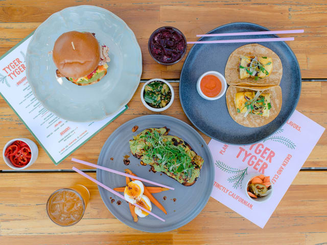 Tyger Tyger by Ali Beck