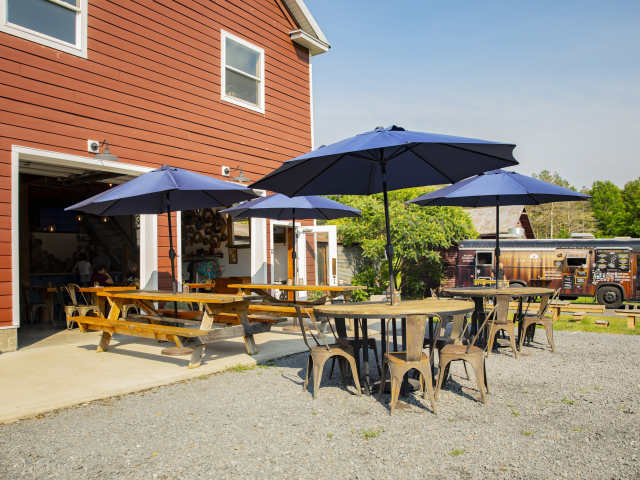 Wayward Lane Brewing by Meghan Spiro