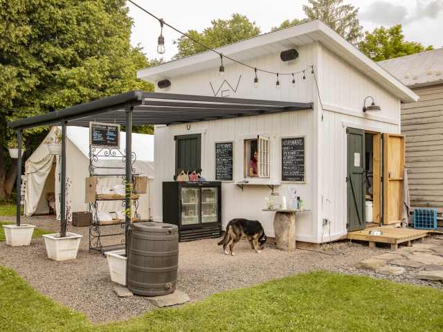 Weiss Ferments by Meghan Spiro