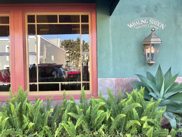 Whaling Station Steakhouse by Allison Green