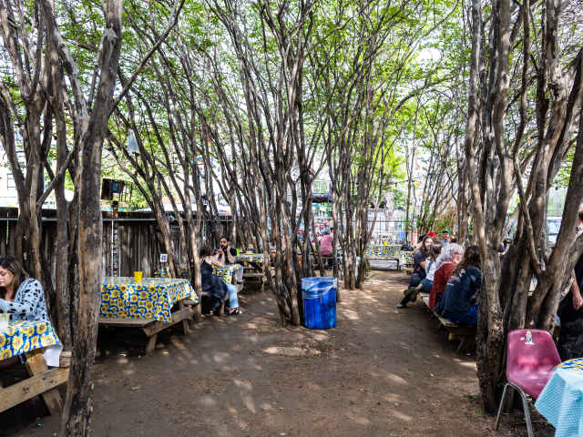Yellow Jacket Social Club by Richard Casteel