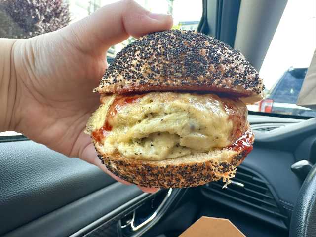 Cardoon by Aimee Rizzo