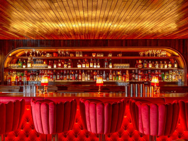 The Red Fox by The Red Fox