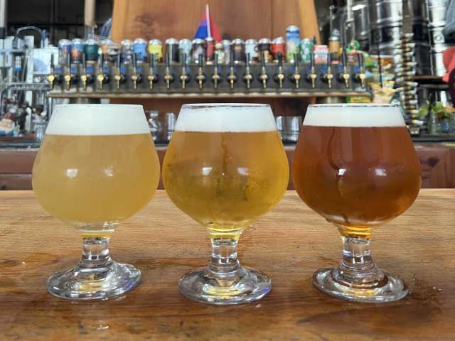 Standard Deviant Brewing by Standard Deviant Brewing