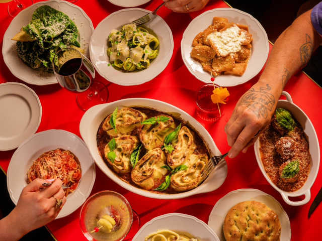 The Red Fox by The Red Fox