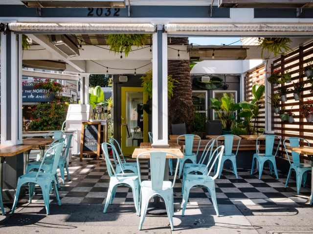 Palm House by Krescent Carasso