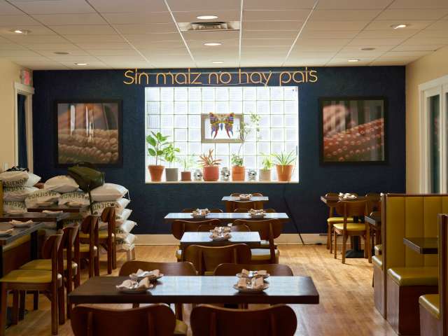 Oro by Nixta by Kadi Kaelin