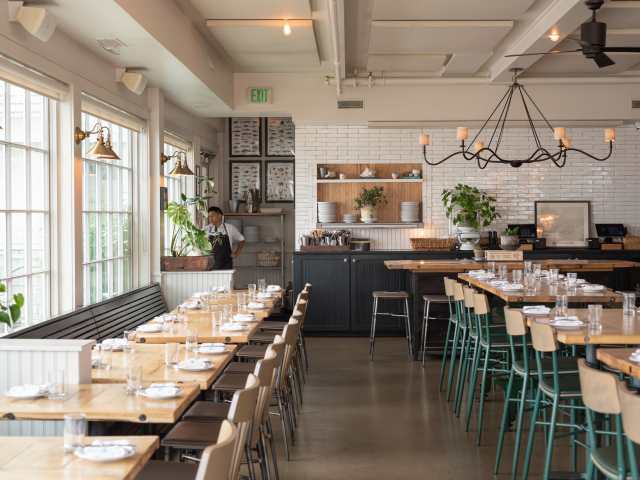 The Whelk by Sam Schwab