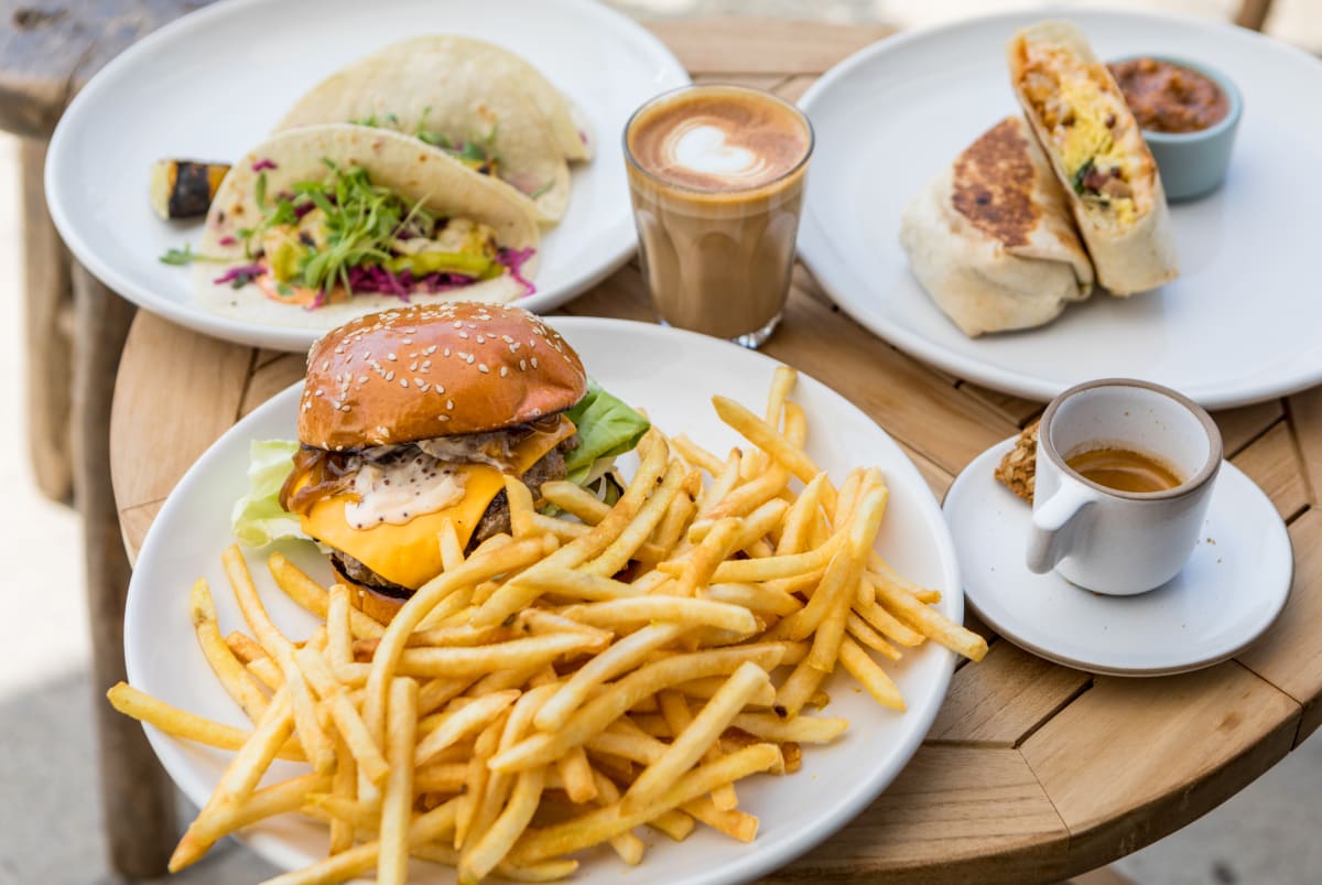 Great White Review Venice Los Angeles The Infatuation