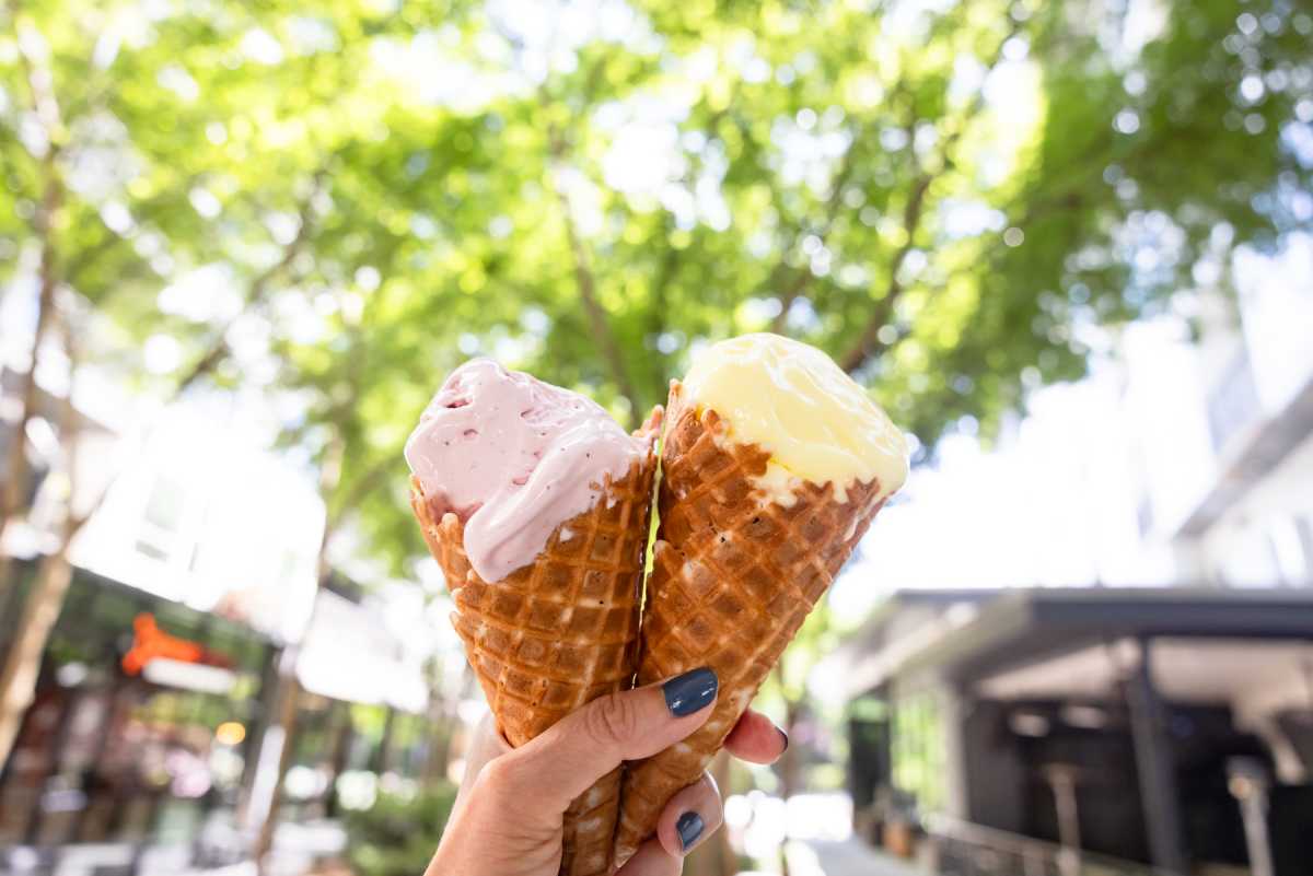 Voga Italian Gelato Review Inman Park Atlanta The Infatuation