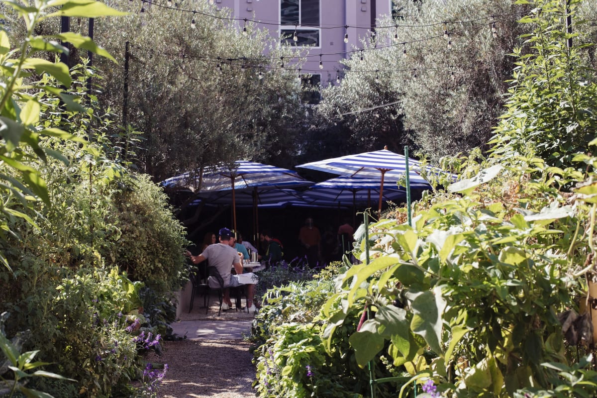 Redbird Review Bunker Hill Los Angeles The Infatuation