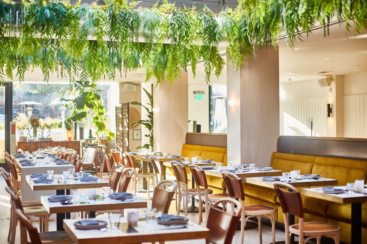 Abacá Review Fisherman's Wharf San Francisco The Infatuation