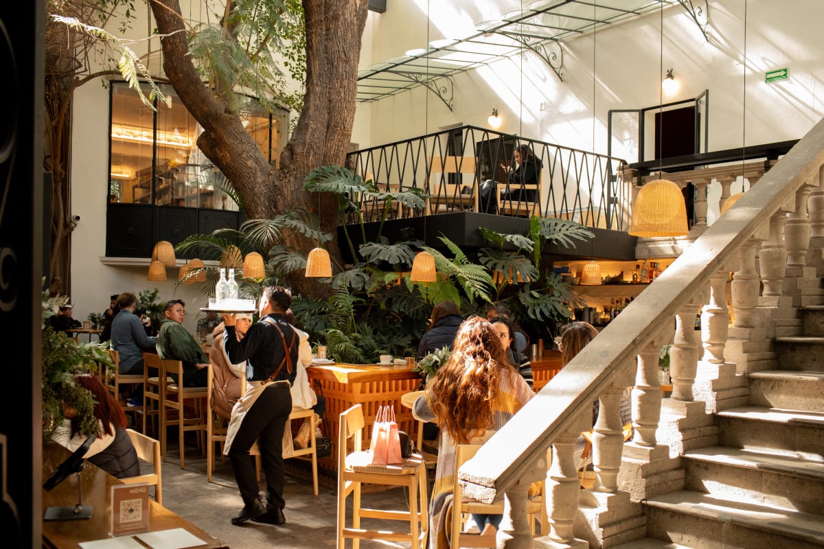 Cuina - Review - Roma - Mexico City - The Infatuation
