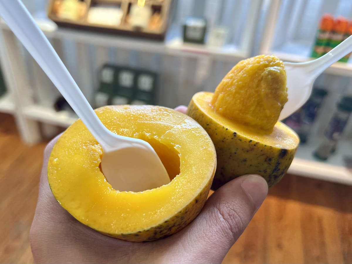 Fruit & Spice Park Review Homestead Miami The Infatuation