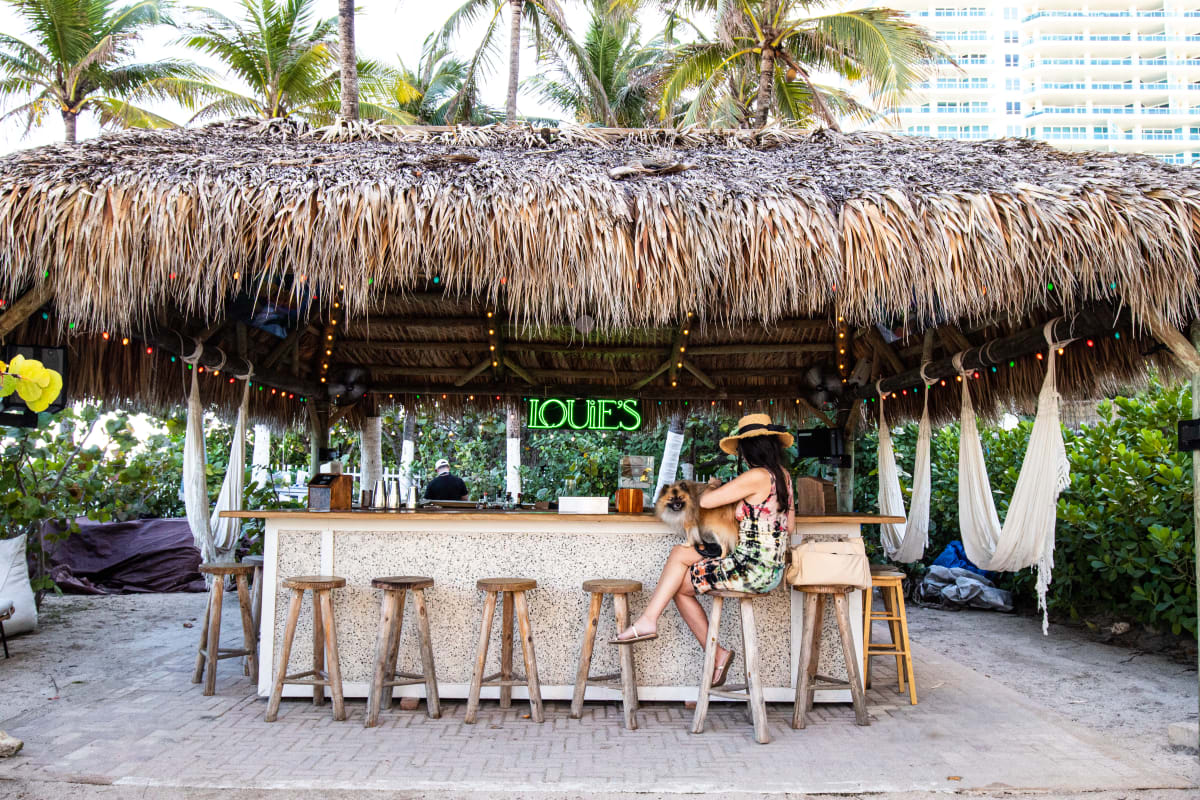Where To Eat With Your Nervous Dog - Miami - The Infatuation