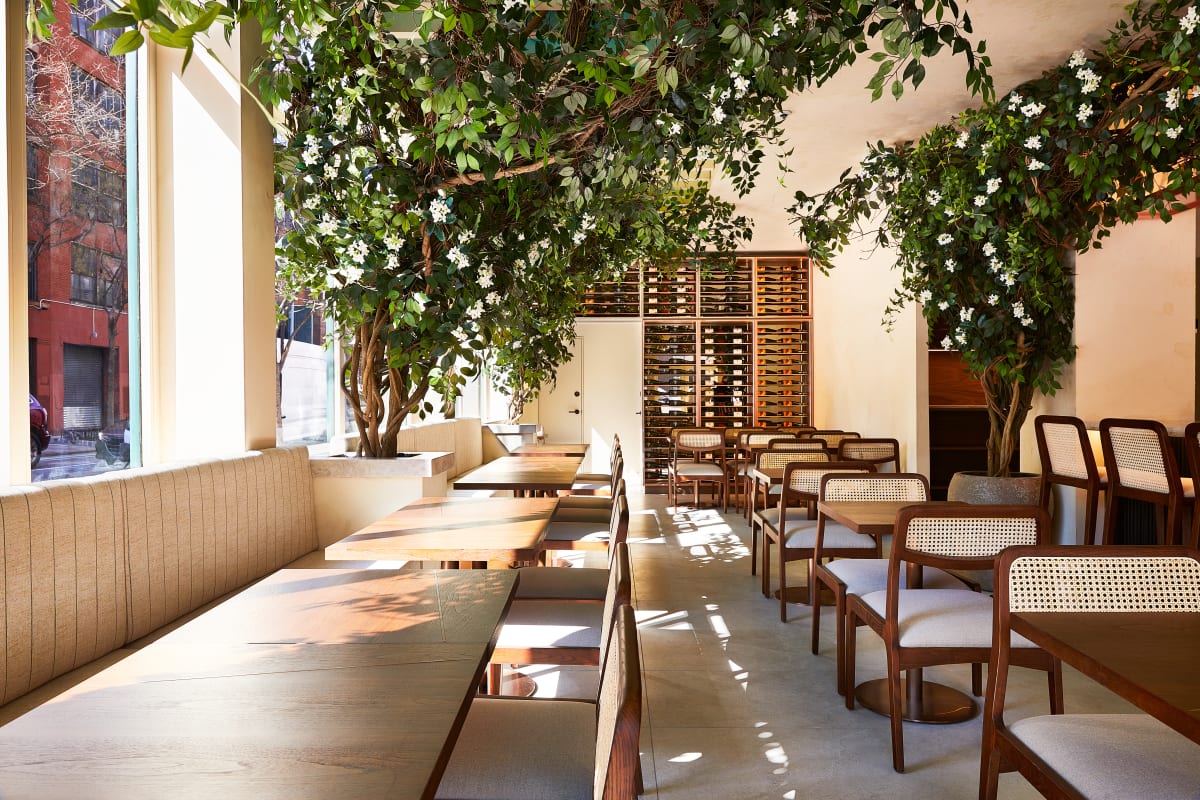 Frena Review Hell's Kitchen New York The Infatuation