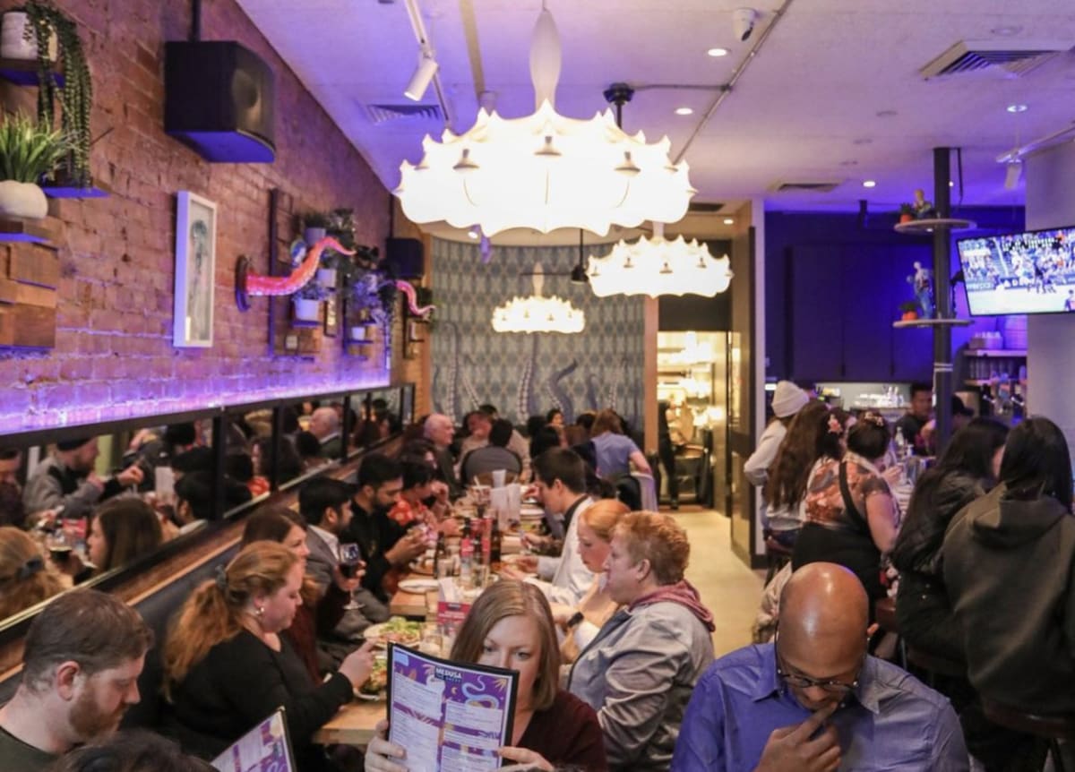 Medusa Greek Taverna Review Park Slope New York The Infatuation