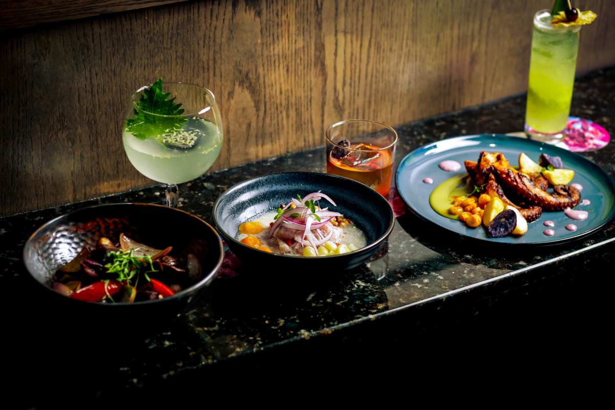 Pacha Nikkei Review Galleria Houston The Infatuation