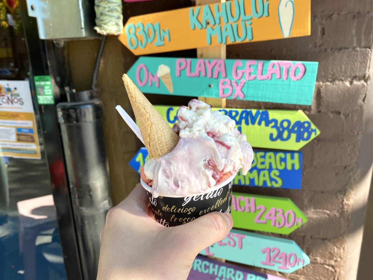 Playa Gelato Review Mott Haven New York The Infatuation