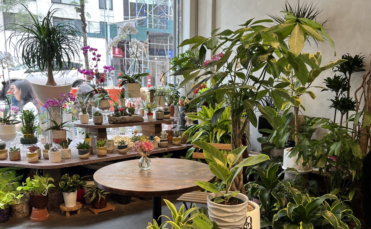 The 16 Best NYC Coffee Shops With Wifi For Getting Work Done New York