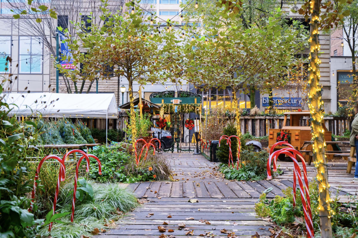 Walnut Garden Review Rittenhouse Philadelphia The Infatuation