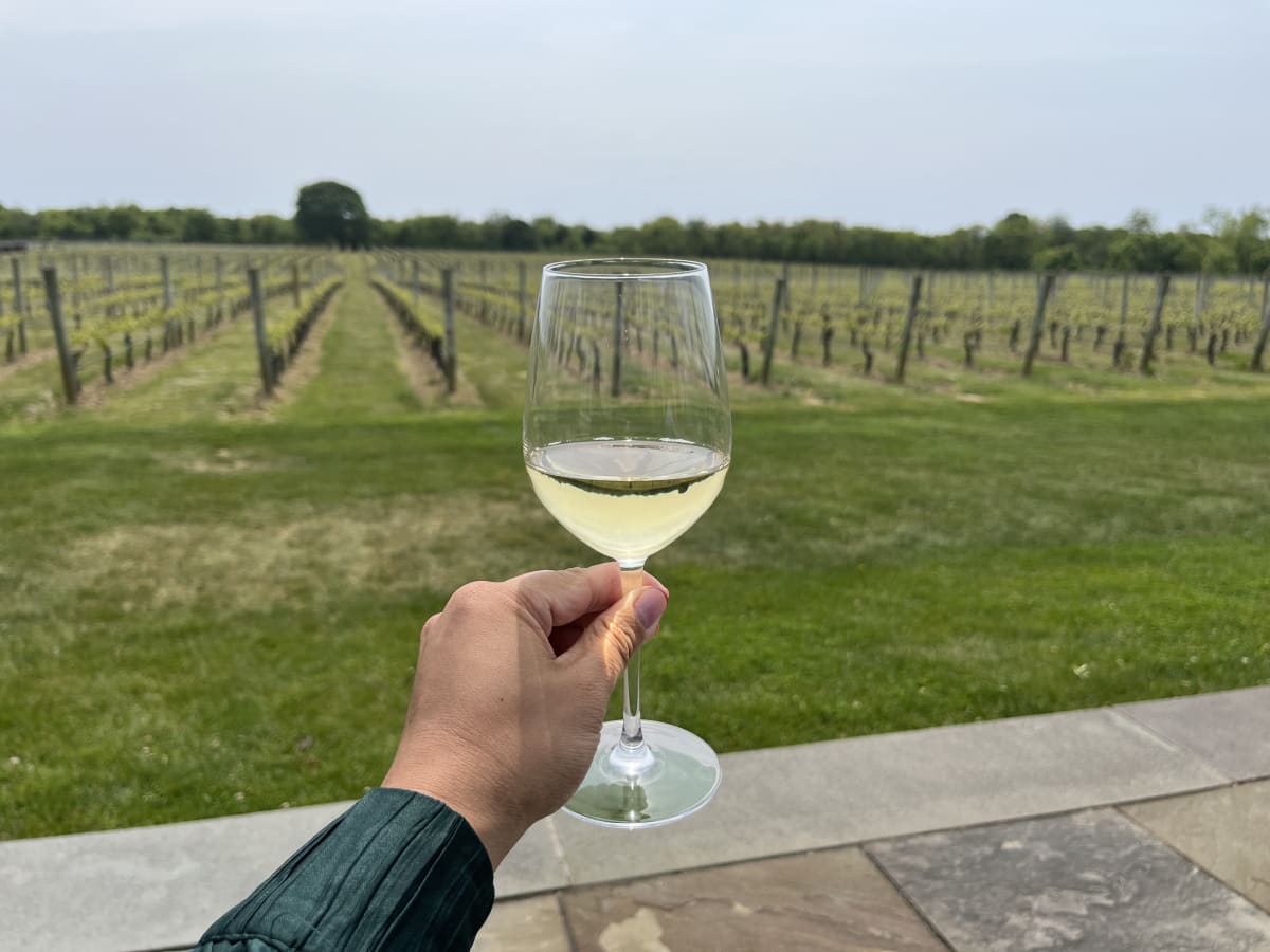 The 11 Best Long Island Wineries 2024 Long Island The Infatuation