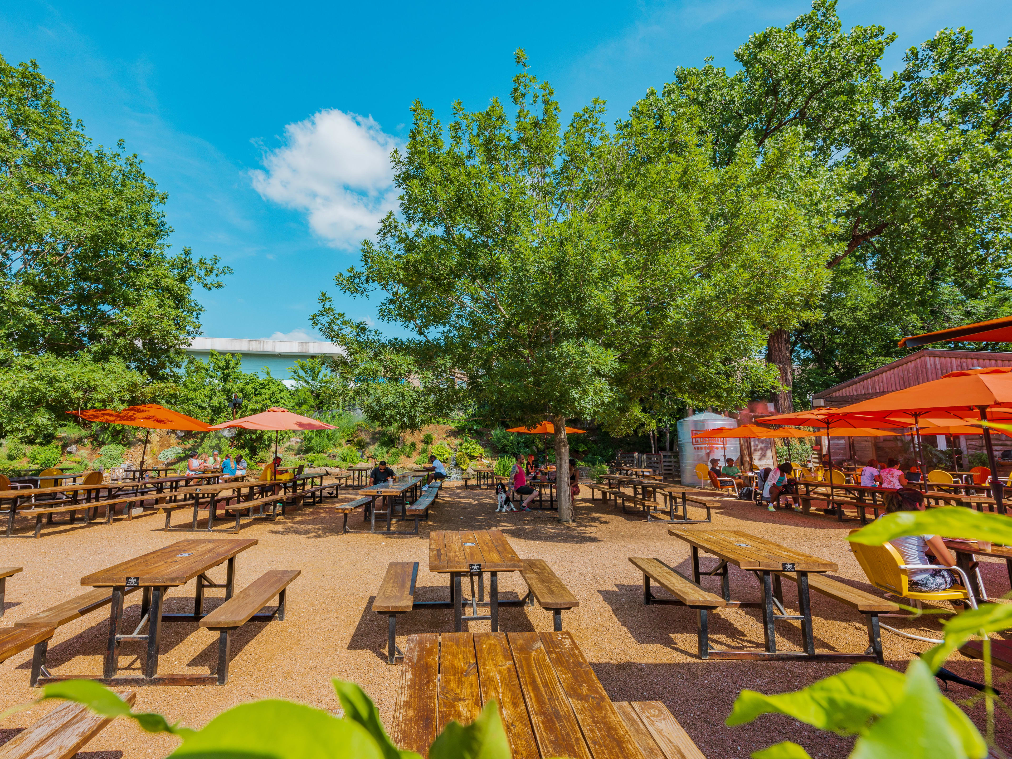 The Best Patios & Backyards In Austin guide image