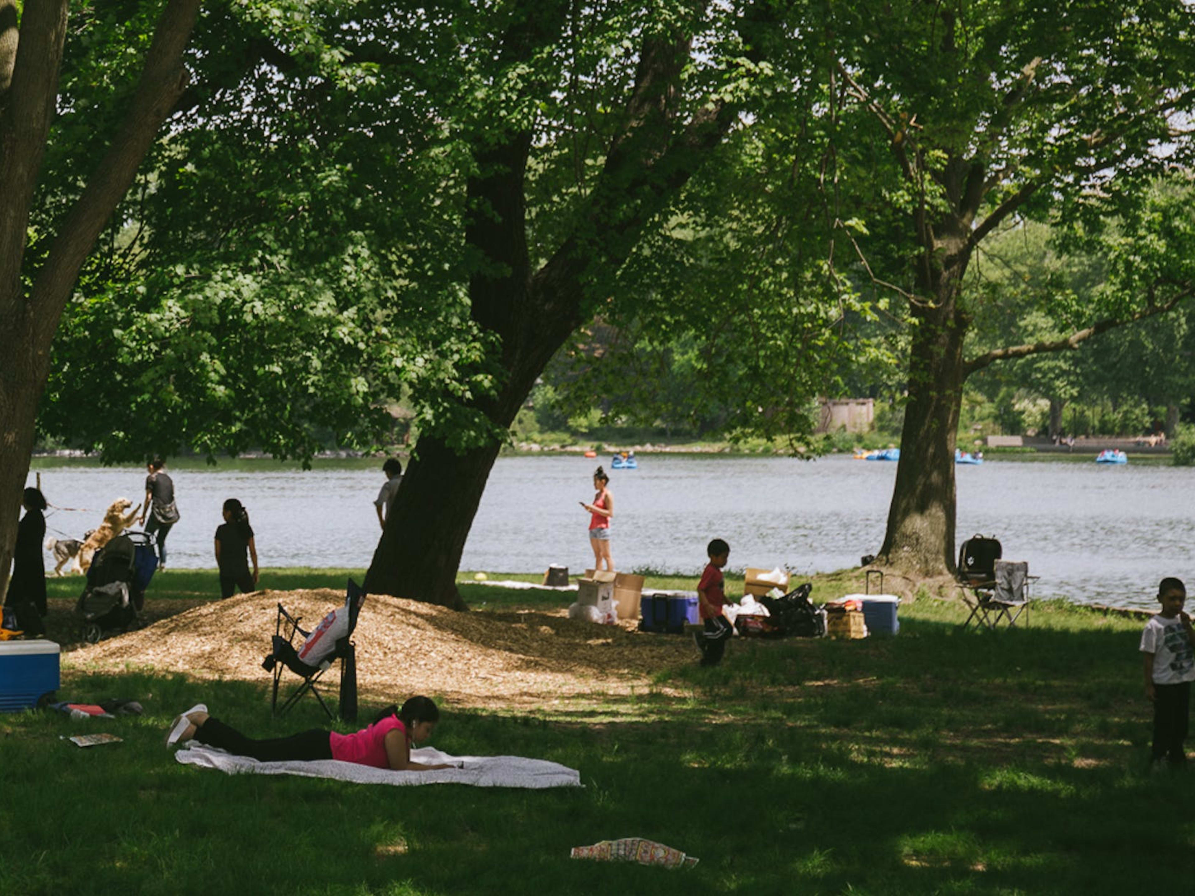 Olmsted - Prospect Heights - New York - The Infatuation