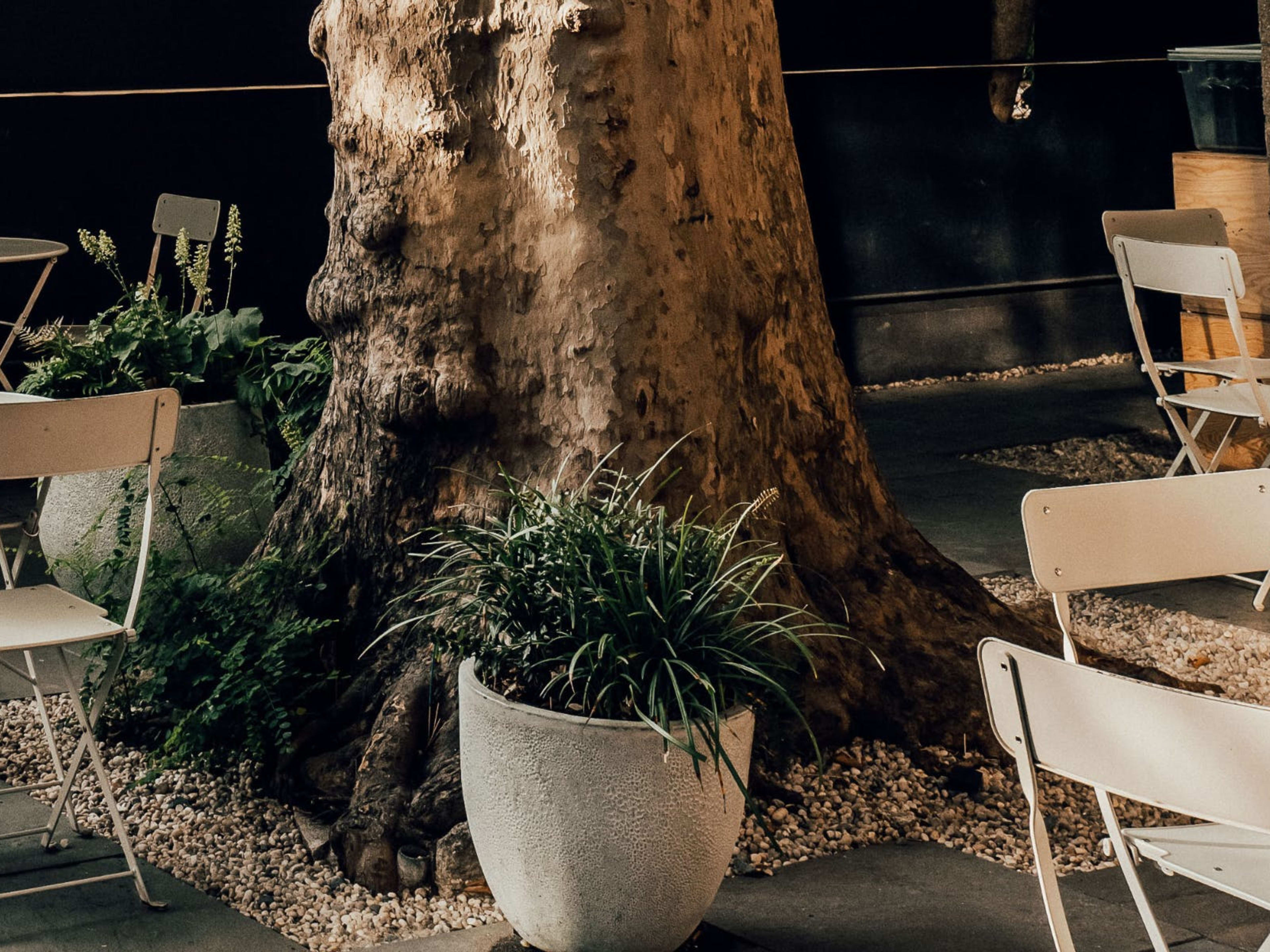 The Best Noodle Soup In NYC - New York - The Infatuation