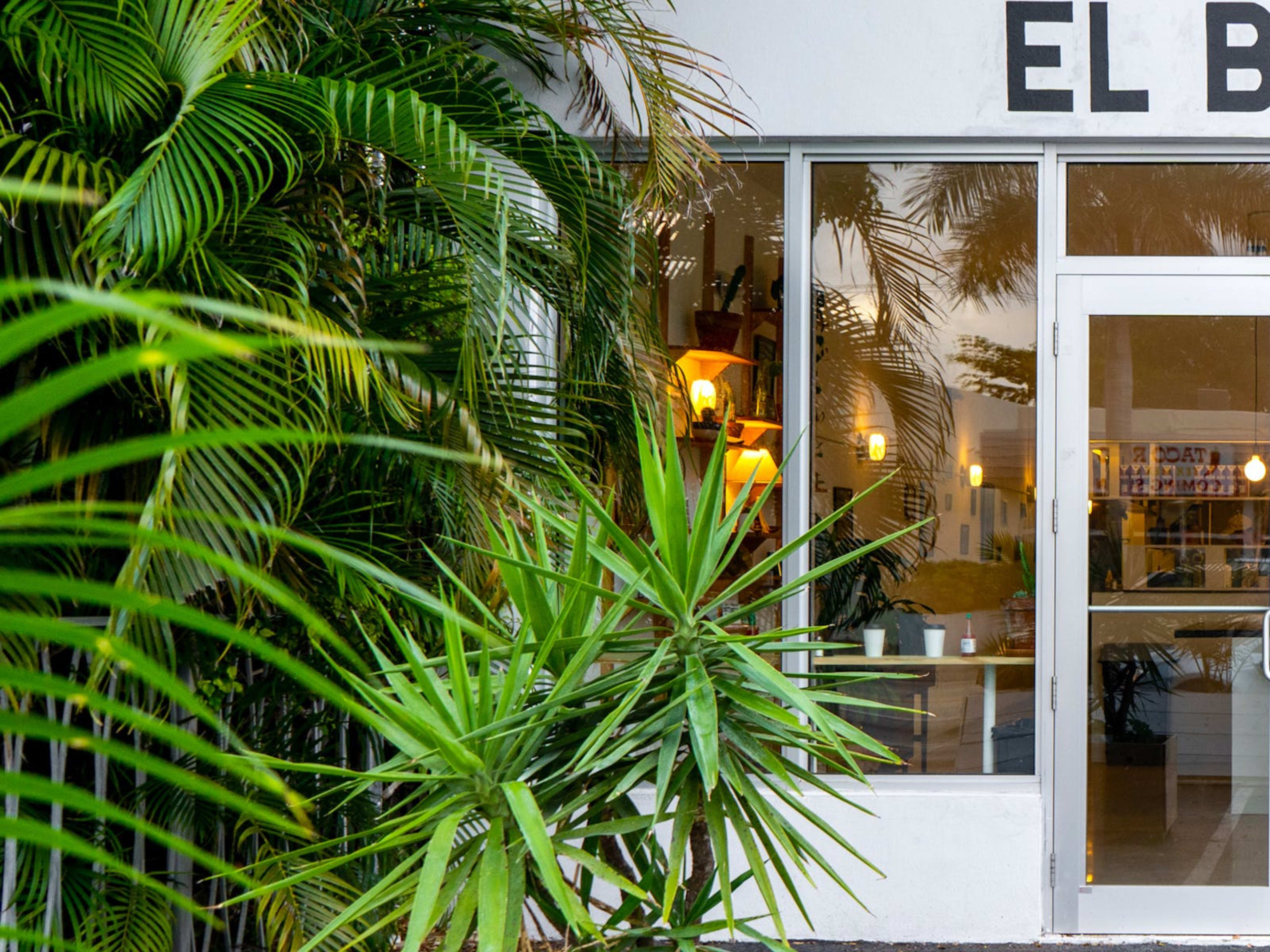 Sadelle's Coconut Grove Review Coconut Grove Miami The Infatuation