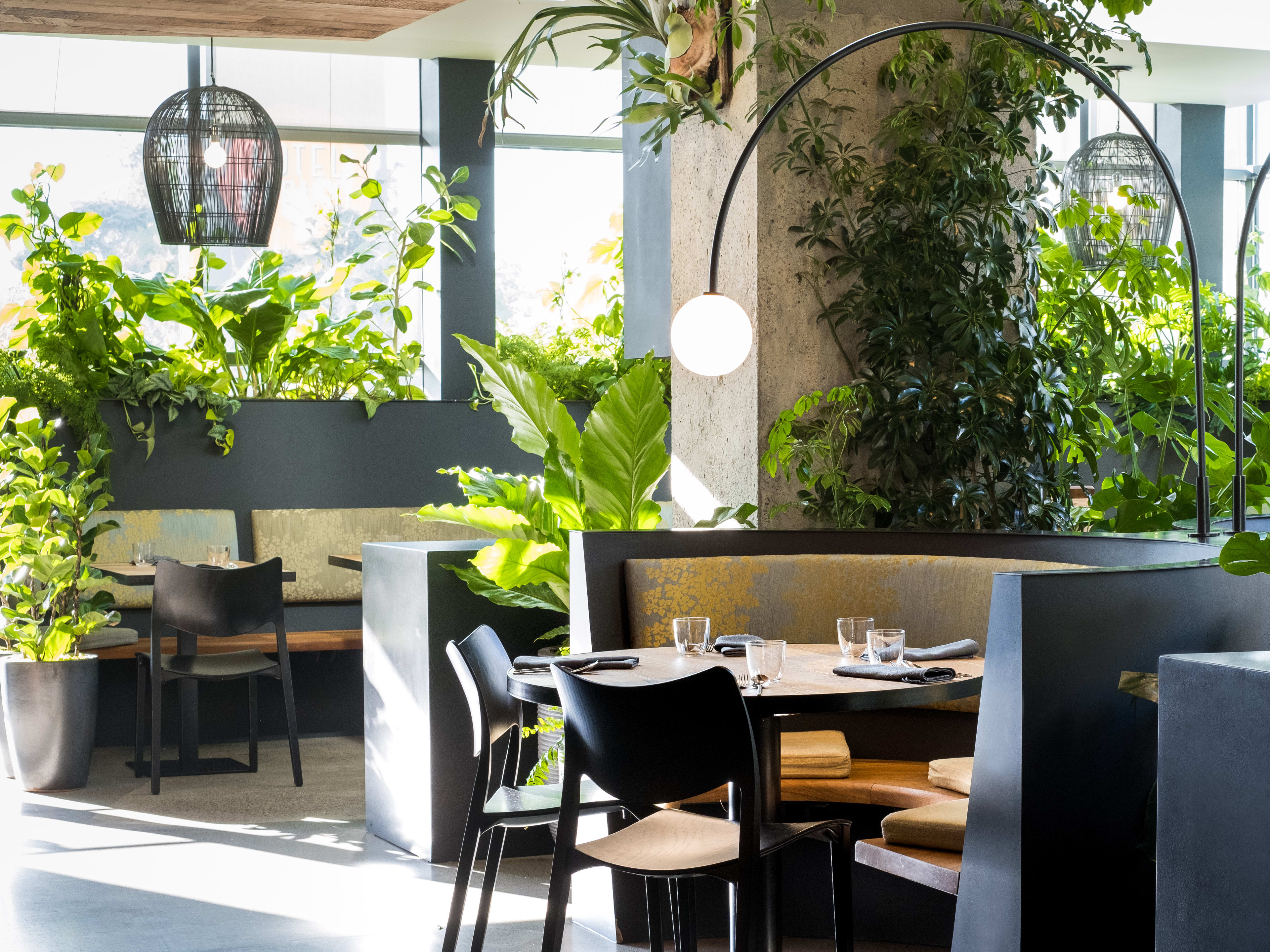 The 10 Best Restaurants In Japantown San Francisco The Infatuation