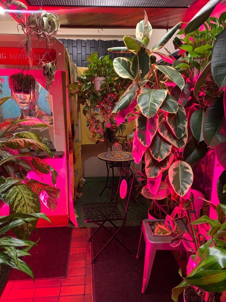 Crystals Soul Cafe Review Compton Los Angeles The Infatuation