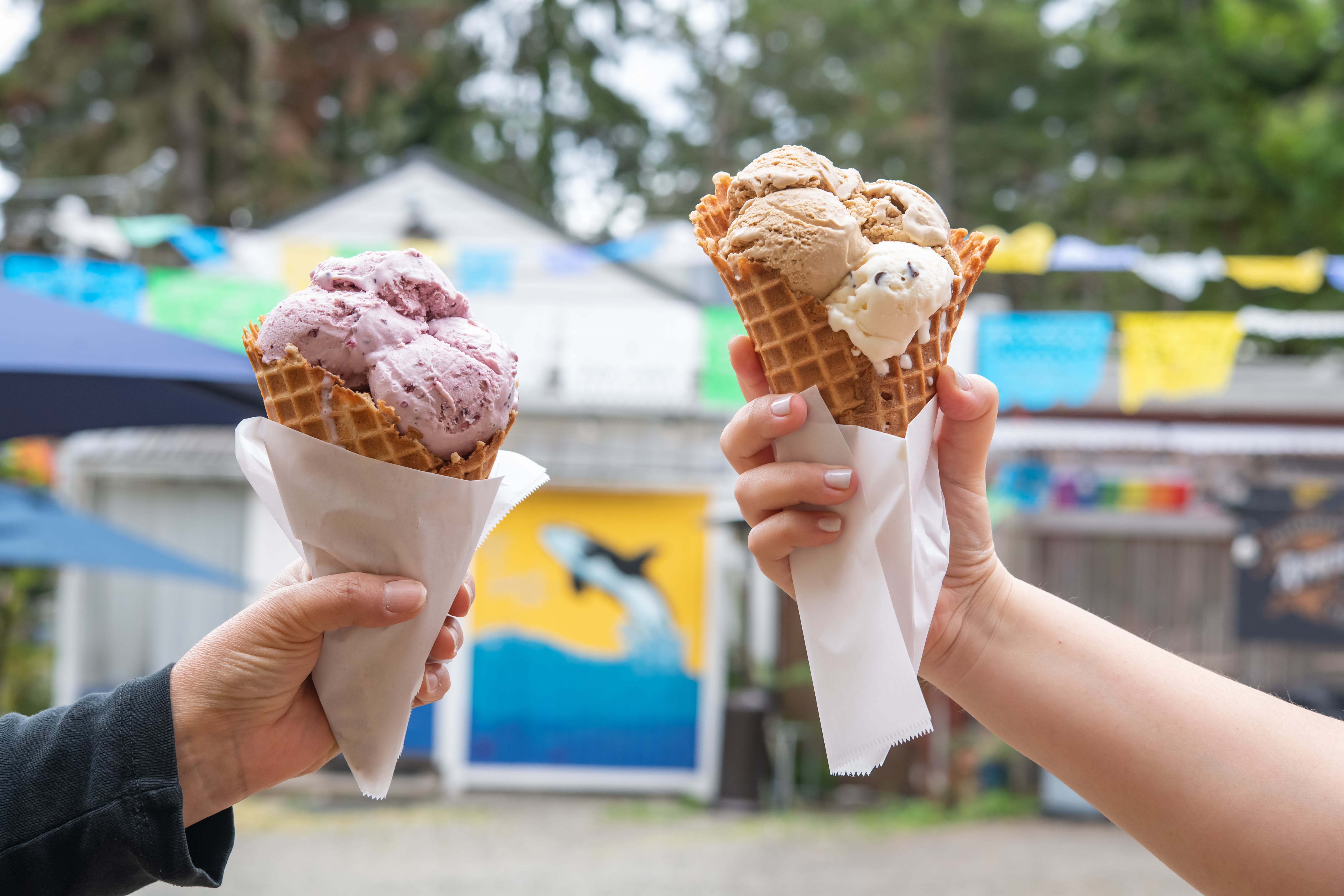 Emma & Otto’s Ice Cream Bainbridge Island Seattle The Infatuation