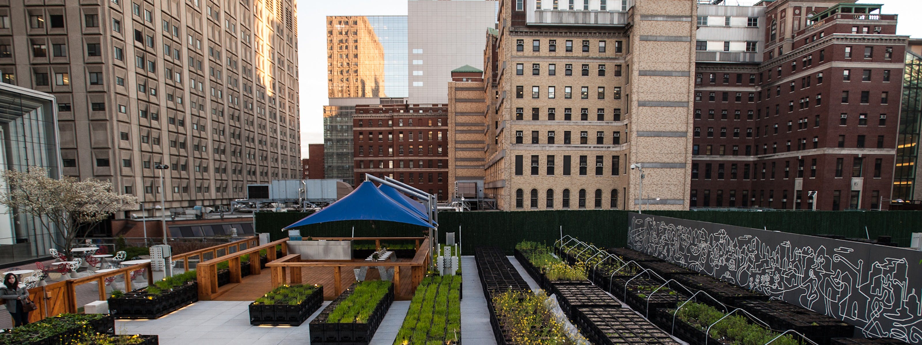 NYC Rooftop Garden With Manhattan Views, Outside Space NYC