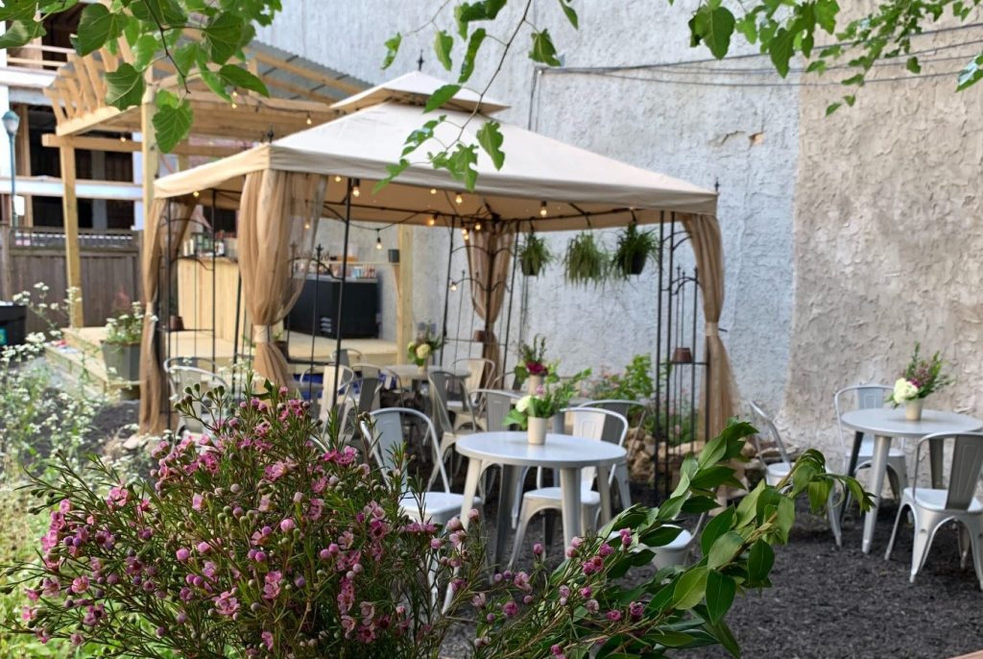 Jet Wine Garden South Street Philadelphia The Infatuation