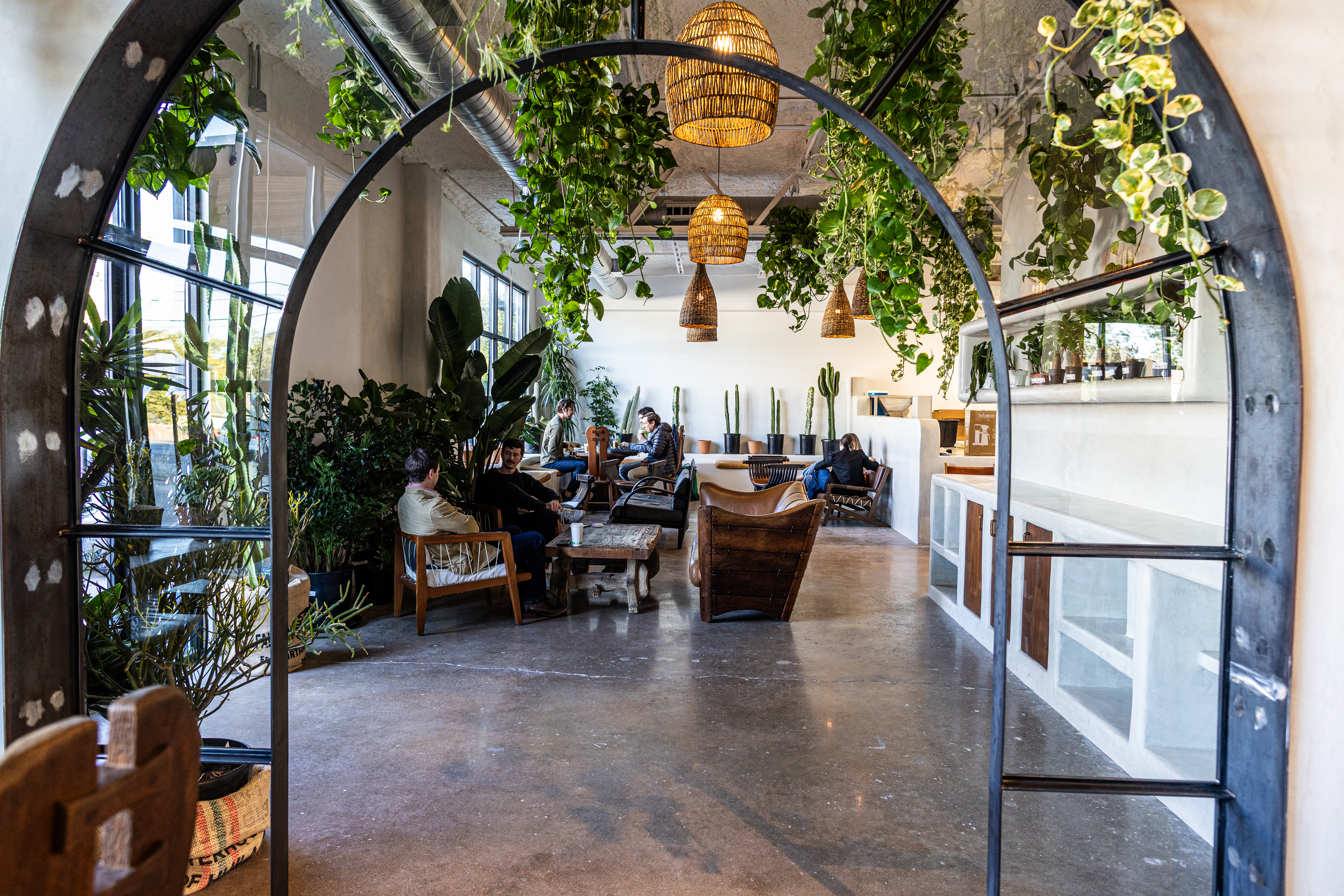 Palomino Coffee - Review - MLK - Austin - The Infatuation