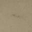 Emmy Roth, Tray, Silver alloy: hammered, 1935–37 - Thumbnail 1