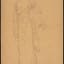Gustav Klimt, Study for Portrait of Adele Bloch-Bauer I, Charcoal on paper, 1903 - Thumbnail 0