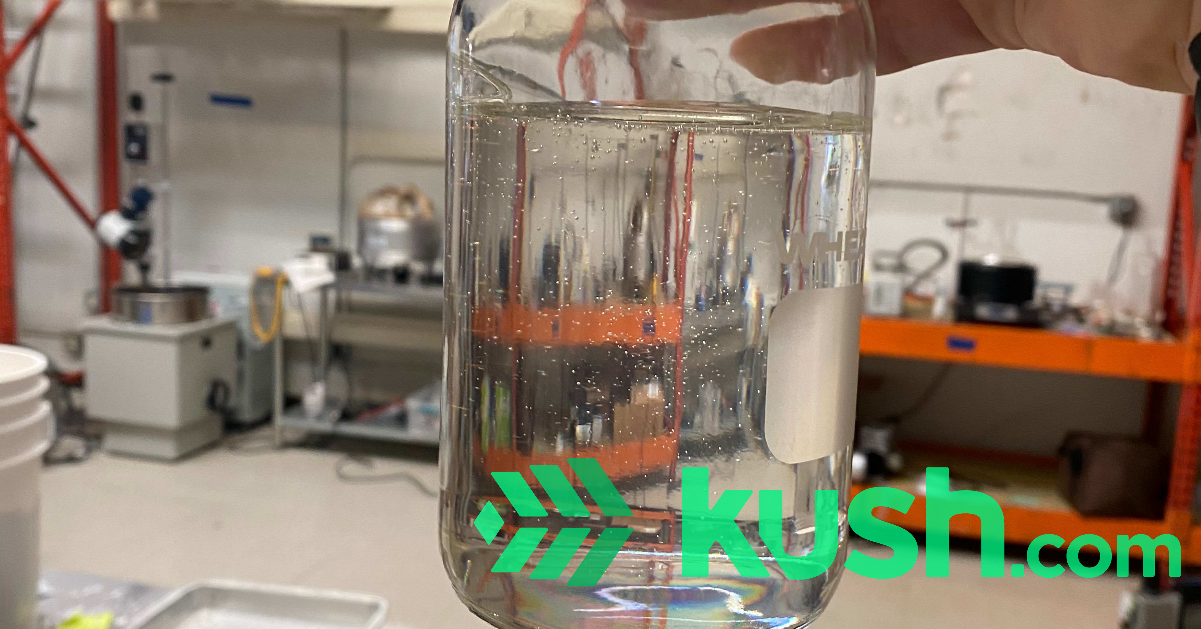 Delta 8 THC water clear / 90+ ready to go! Blog