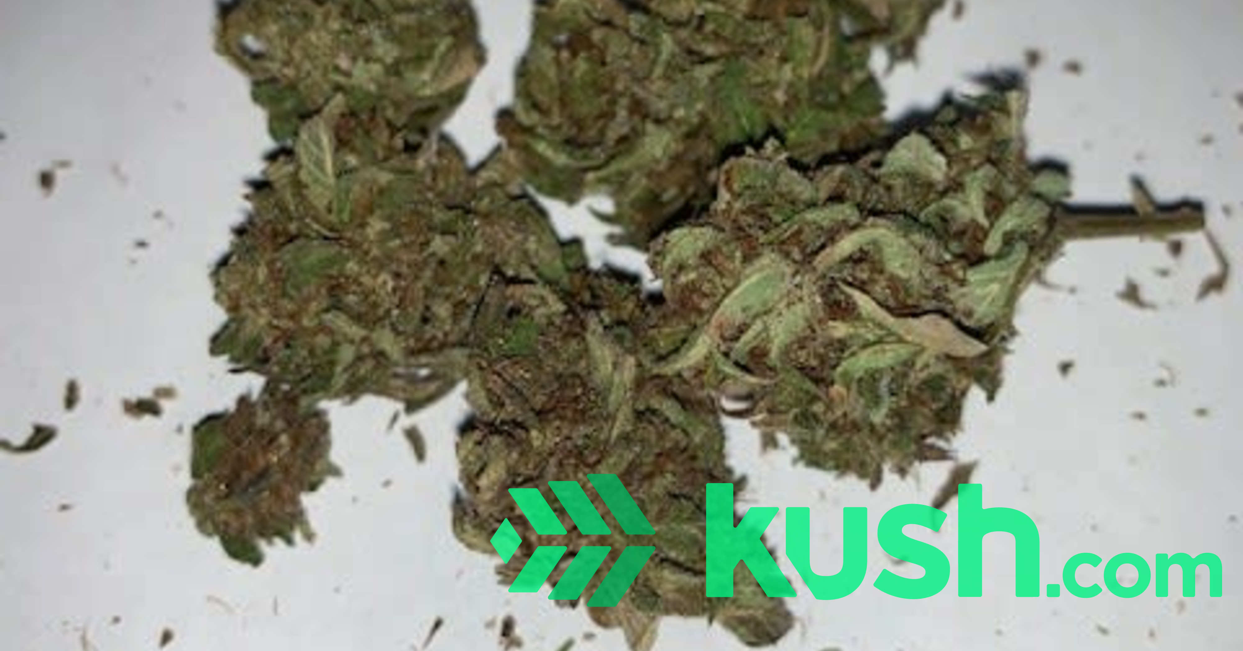 2020 CBD Flower Machine Trimmed 130/lb Blog