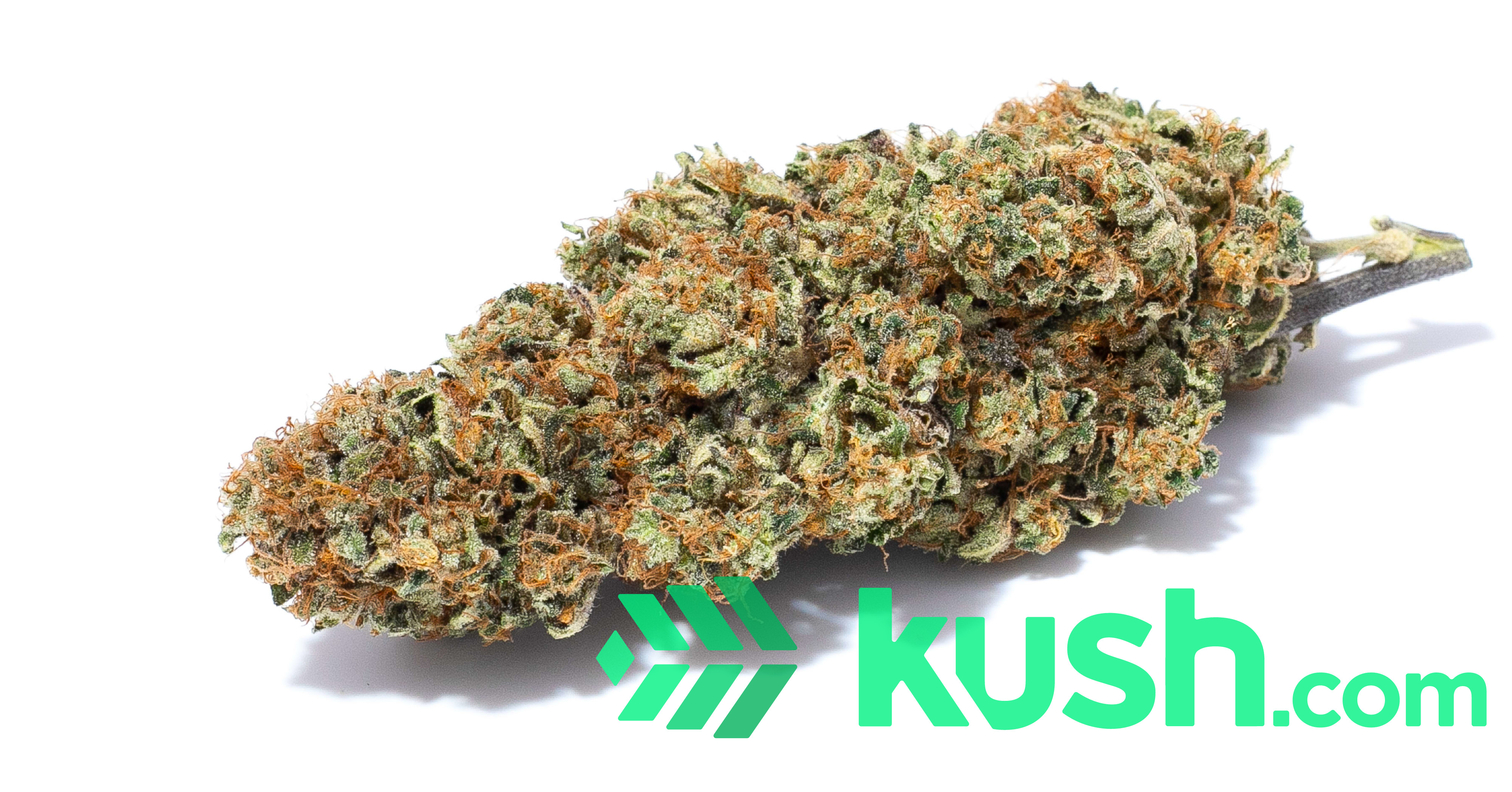 Flower Peach Haze Blog