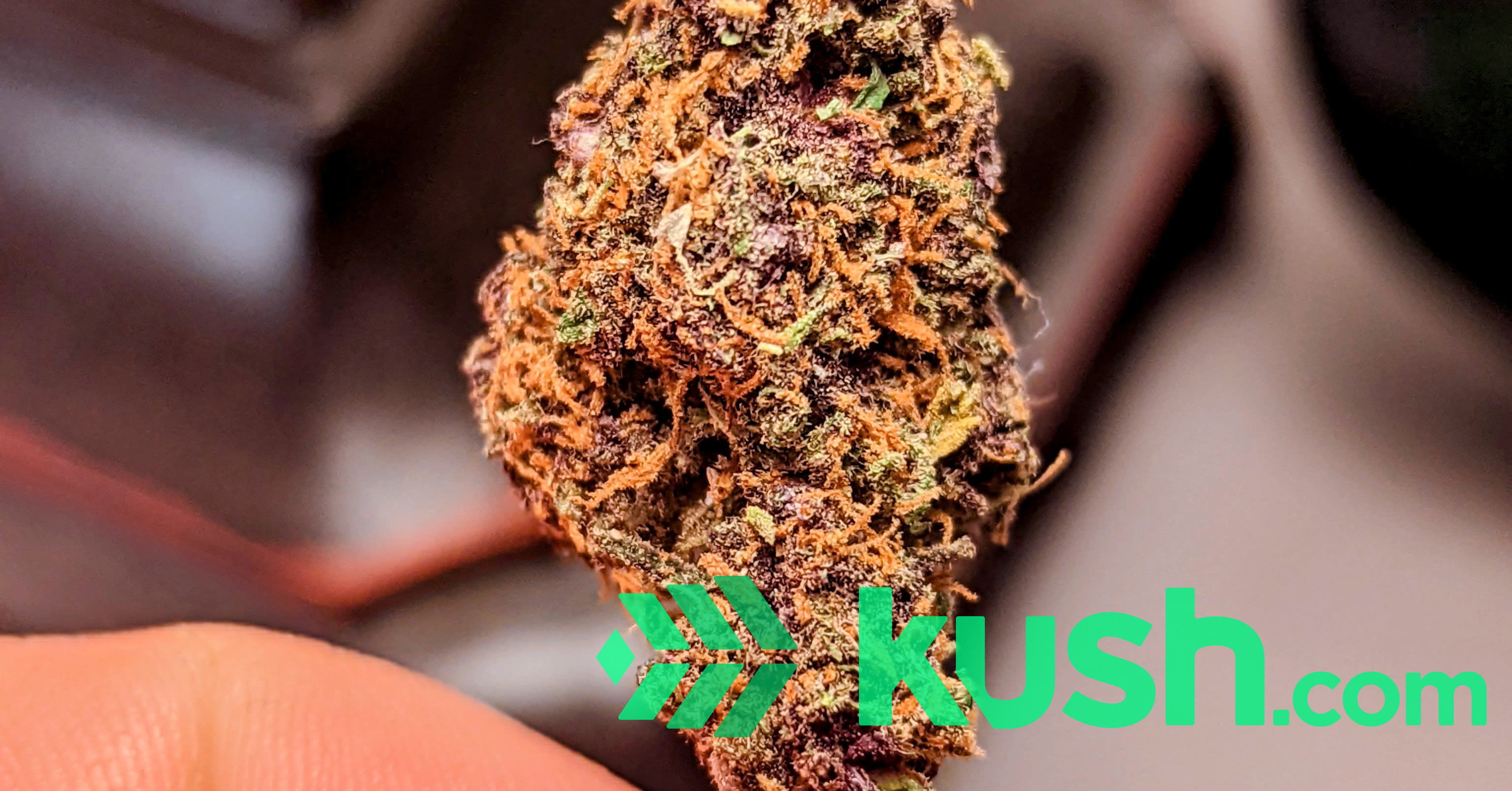 KASMIRE DELTA 8 THC ZAZA EXOTIC 28 gram sample pack Blog