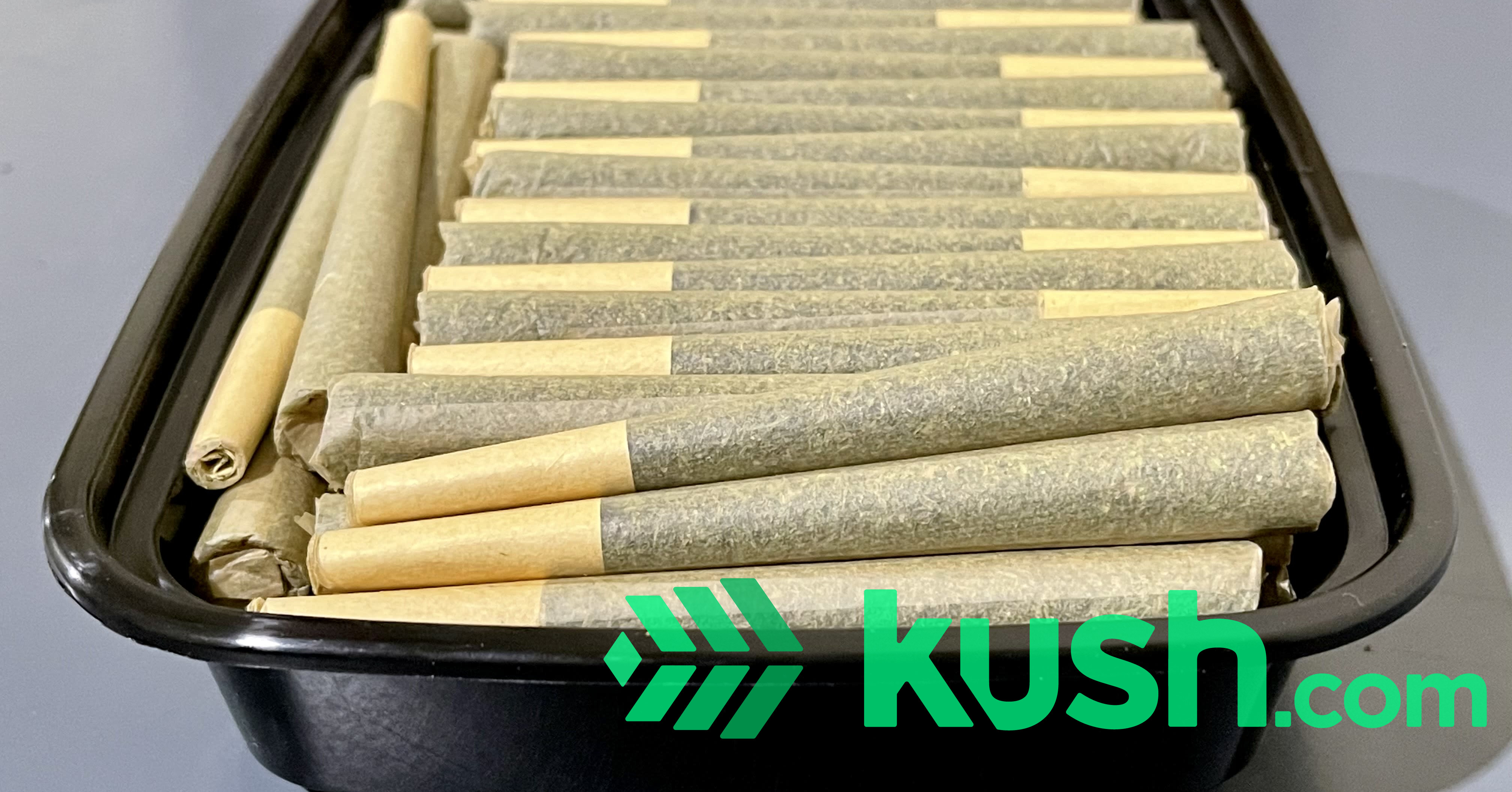 1.5 Gram King Size Cryo Infused Delta 8 CBG Pre Rolls Blog