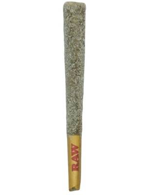 Hemp Products | Kush.com Hemp Products | Kush.com