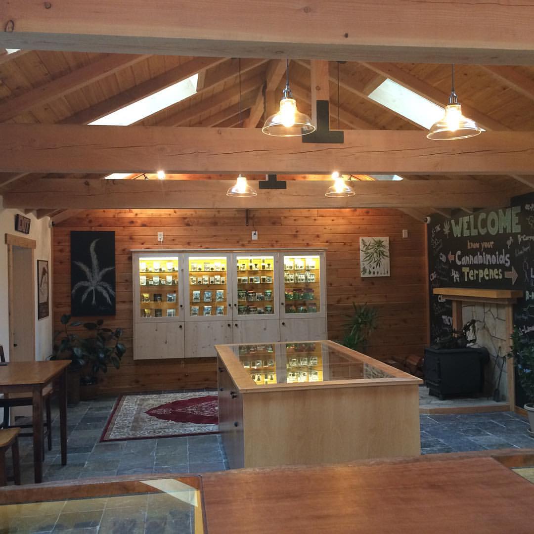 Chimacum Cannabis Co. Kush Tourism