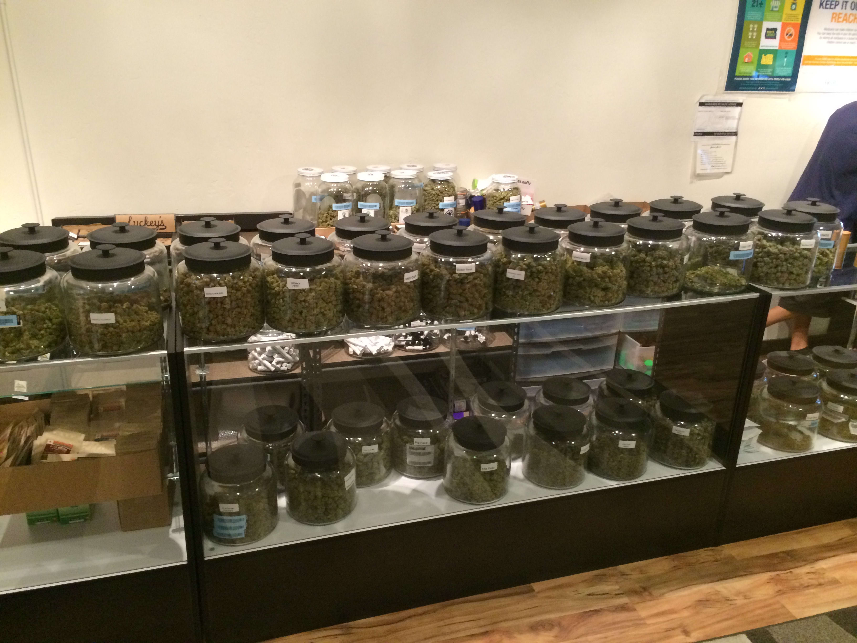 Hotbox Farms Kush Tourism